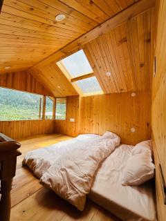 Himalayan Baseraa - 8