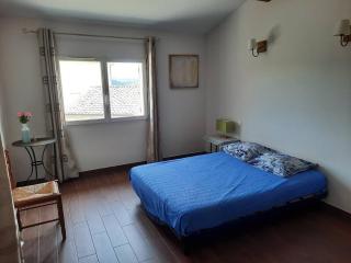 Maison au coeur d'un domaine viticole - 5