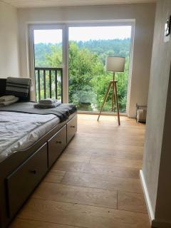 Bieszczadzka tarnina - 0