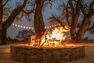 Buffalo Thorn Tree Lodge - 8