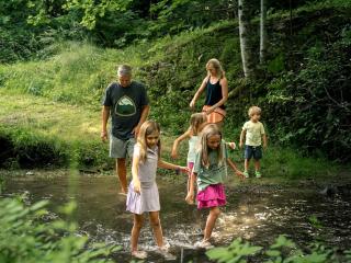Incredible Mountain Cabin with Private Creek and Hot Tub Allowing Outstanding Views in Bryson City - 3