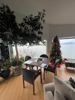 Whales house - 5