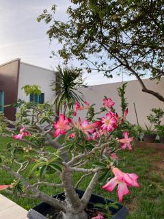 Recanto do Aconchego Prime - 7