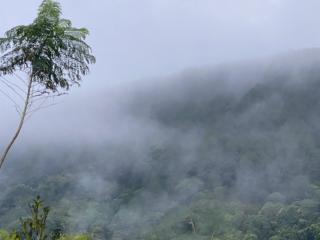 Cắm trại núi xanh dalat inn - 0