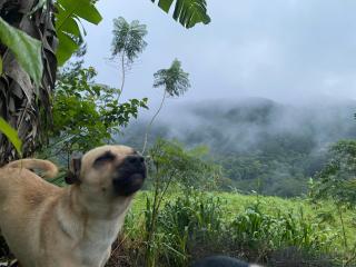 Cắm trại núi xanh dalat inn - 7