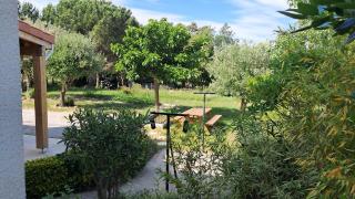 My Quiet Place near Carcassonne - 4