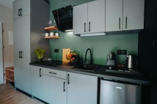 Althea Ustrzyki Apartmants - 4