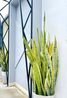 DI HOME I HOMESTAY PHAN THlẾT - 1