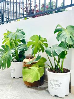 DI HOME I HOMESTAY PHAN THlẾT - 2