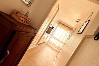 Lion - Centre-ville - MA CONCIERGERIE - 8