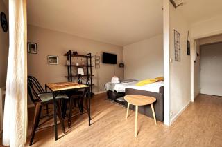 Lion - Centre-ville - MA CONCIERGERIE - 3