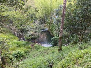 Hotel Selva Cristal - 3