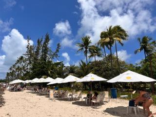 Flat 118 Eco Resort ao lado da Igrejinha de Carneiros - 5