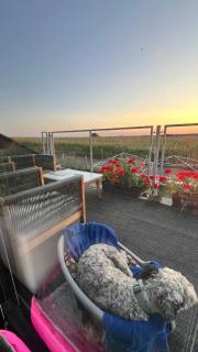 Ölschnitzer Loft - 4