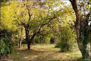 Domaine des Tauperons-8 pers-proche Beauval-wifi - Le Grand-Chambonais - 3