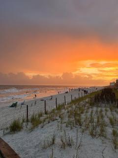 Spring into Tropical Winds 703 - 2