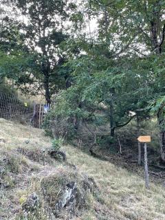 chalet bois montagne Urbanya Occitanie - Urbanya - 2