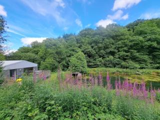 The Lake House-an utterly private cabin on nature reserve & hot tub - 6