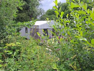 The Lake House-an utterly private cabin on nature reserve & hot tub - 0