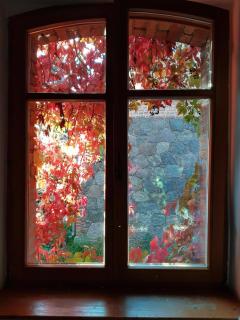 Wohnung In Haselberg Mit Großem Garten - 1