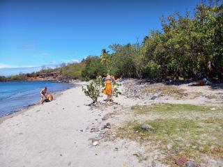 Résidence les hibiscus 4 - 5