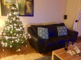 Zip12 Cottage Nr Zip World and Snowdon Yr Wyddfa - 5