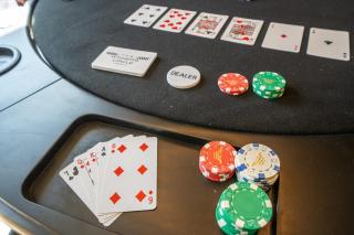 New Luxe Riverfront Home, Launch & Dock, Gamerooms - 7