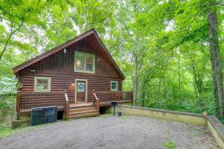 Hot Tub and Pool Table Secluded Seiverville Cabin - 8