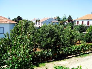 Apartment Brcic - Biograd na Moru - 7