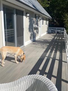 Sunset Serenity - Incredible Home On Lake Bluff! - 4