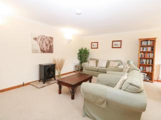 Sycamore - 4