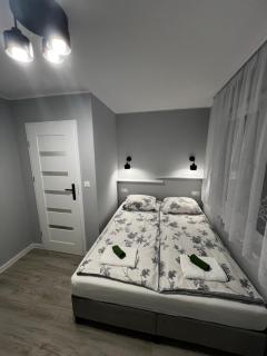 Apartament nad Nysą Kłodzką - 8