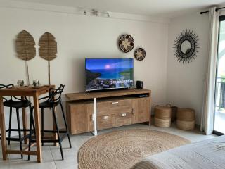 Kalista - Studio Luxueux - Anse Marcel - 6