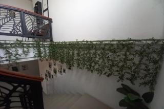 Hotel O Rumah Daun Guesthouse Jogja - Demangan - 3