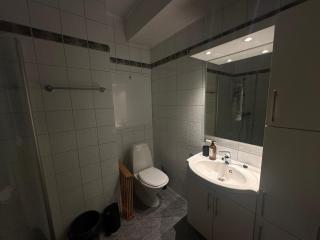 Central 2-Bedroom Apartment - 3
