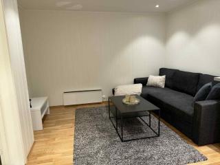 Northern Lights View Beautiful Berg - 7