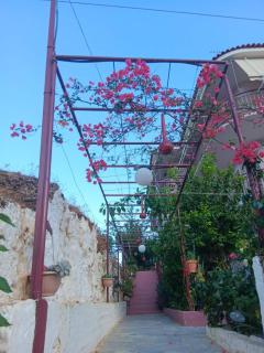 The Spring House - 9