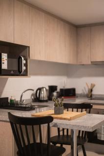 Your Urban Oasis 1BR in Downtown Santiago - 2