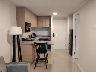 Your Urban Oasis 1BR in Downtown Santiago - 3