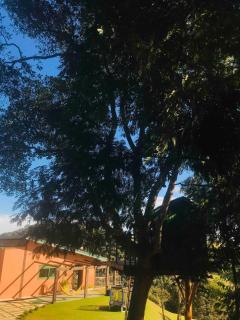 Aflora Serra da Mantiqueira - 5