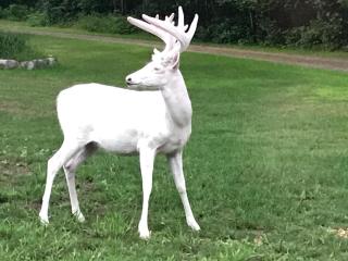 Fishtrap Lake Lodge 4400 sq feet 6 bedroom 3 bath - 0