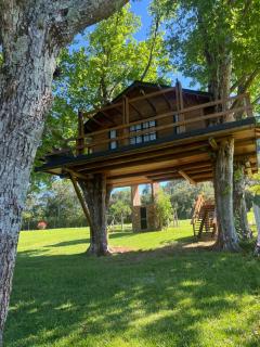 Casa na Árvore - Radosti Experiência - 9