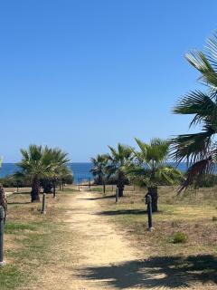 Mini villa residence 3 étoiles Cervione - 7