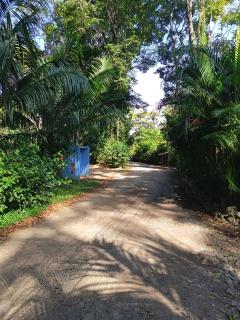 Caribbean Blue Morpho Casitas - 1