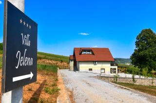 Villa Jelena - 9