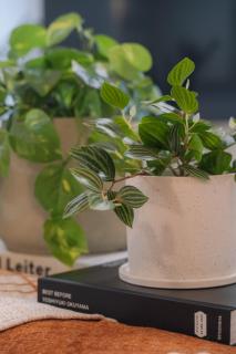 Ease Life 2F - Vacation STAY 60193v - 1