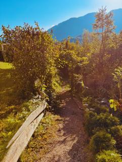 Bergblick Apartments - Natur & Panorama in Bad Ischl - 2
