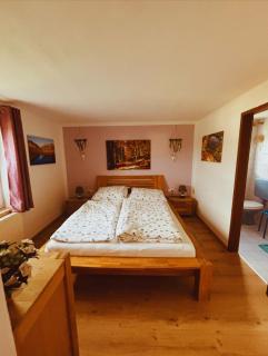 Bergblick Apartments - Natur & Panorama in Bad Ischl - 1