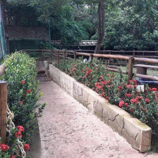 Thermas Paradise Residence flats - Rio Quente - 6