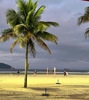 Studio apartment right on the beach - 7